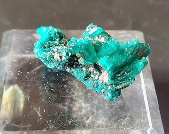 Campione minerale di dioptasio naturale al 100% - Perdono, lasciar andare la rabbia e il risentimento, gioia