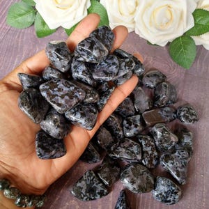 Indigo Gabbro Tumbled Stone: Mystic Merlinite for Shamans