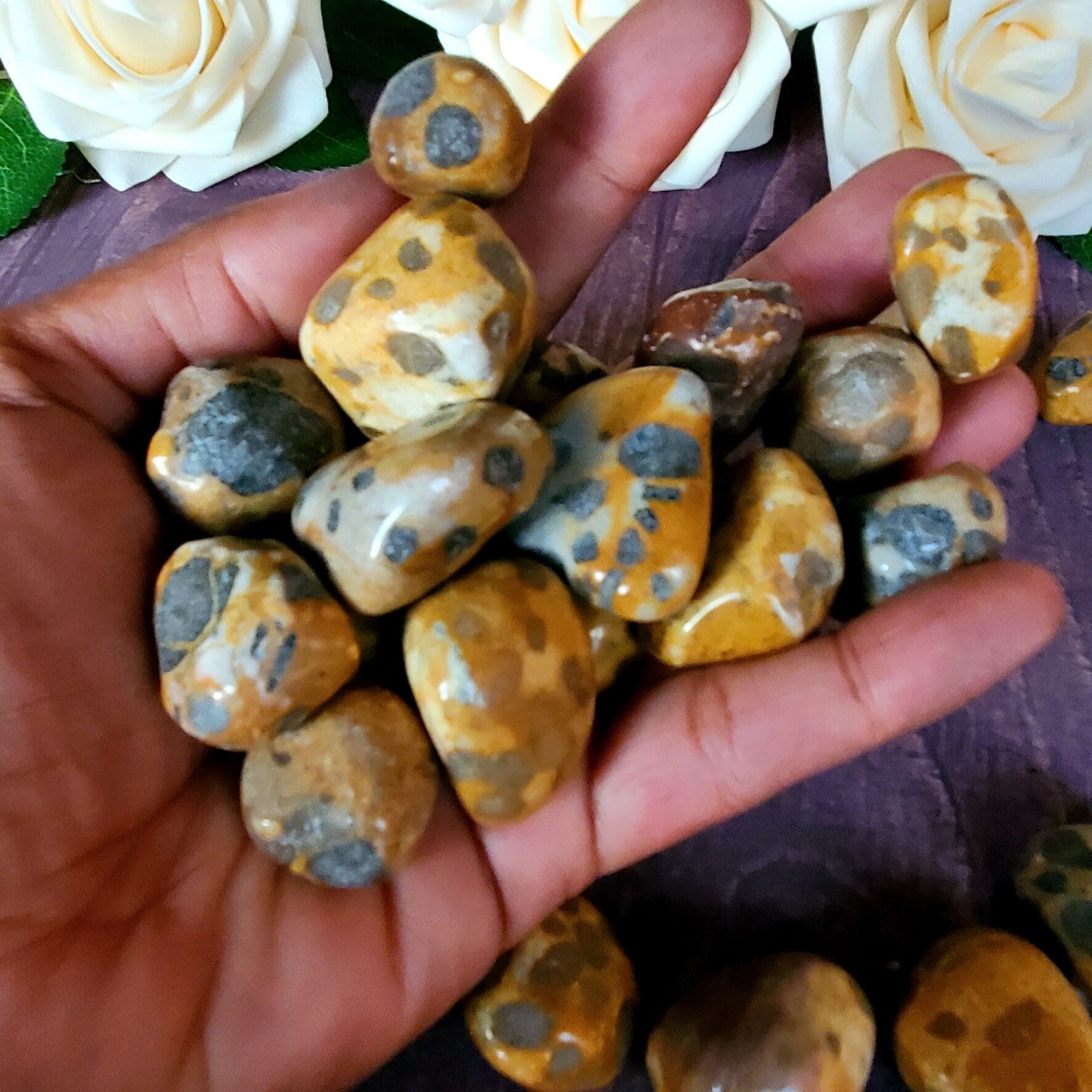LeopardSkin Jasper Tumbled Stones XL-Med- Shaman Stone-Connection to Power/Totem Animal, Strength, Vitality, Protection