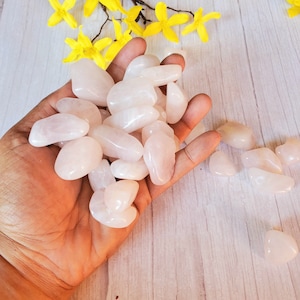 Rose Quartz Tumbled Stones - Love, Compassion, Heart Chakra