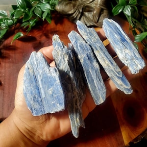 Premium Blue Kyanite Blades- Multiple Sizes -Clarity, Intuition, Psychic Protection