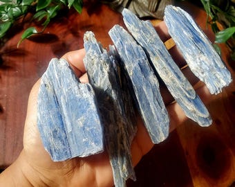 Lame di cianite blu: cristallo grezzo per intuizione e chiarezza