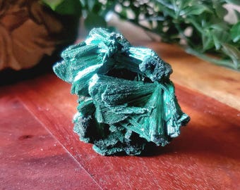 Esemplare di malachite vellutata autentica: pietra curativa per il chakra del cuore