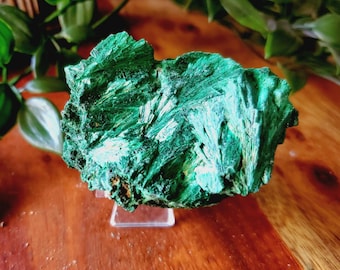 Esemplare di malachite vellutata naturale al 100% - Assorbimento di energia indesiderata, guarigione emotiva, guarigione del chakra del cuore