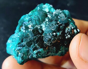 Campione minerale di dioptasio 100% autentico - Perdono, lasciar andare la rabbia e il risentimento, gioia