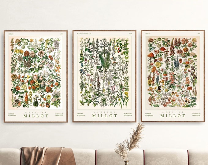 Botanical Herbarium Flowers Art Print Poster, Adolphe Millot Housewarming Posters or Canvases