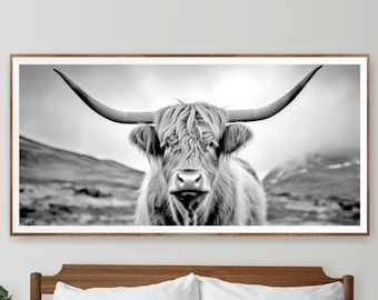 Könnte beinhalten: Schwarzweißfoto einer Highland-Kuh mit langen Hörnern und einem zotteligen Fell, die auf einem Feld steht.