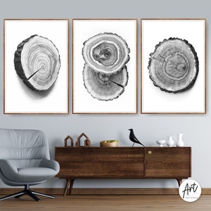 Tree Ring Art Print, Woodblock Prints, Large Art Prints or Canvases