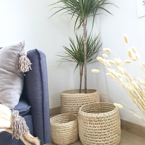 Może przedstawiać: Trzy wiklinowe kosze w różnych rozmiarach, włożone jeden w drugi. Największy kosz zawiera doniczkową zieloną roślinę z długimi, cienkimi liśćmi.