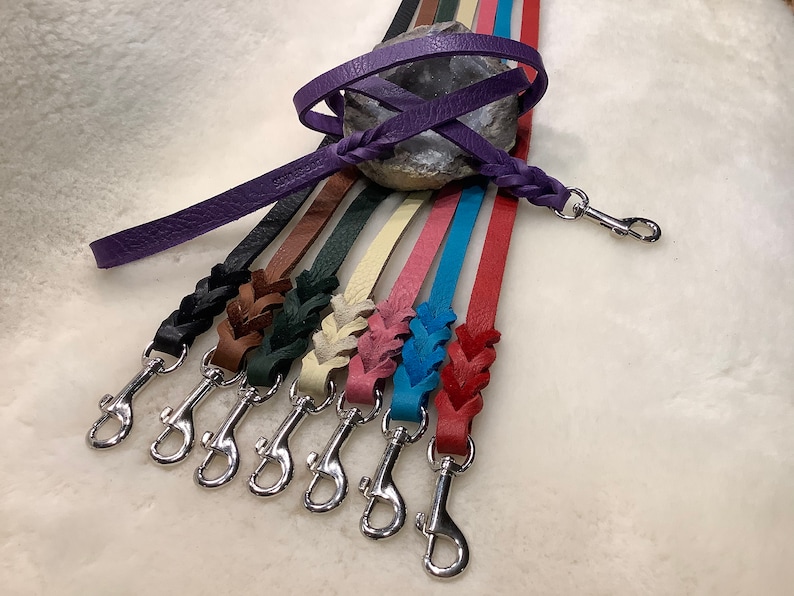May include: A set of eight leather dog leashes in various colors, including purple, brown, green, cream, pink, blue, and red. Each leash has a braided design and a silver hook.
