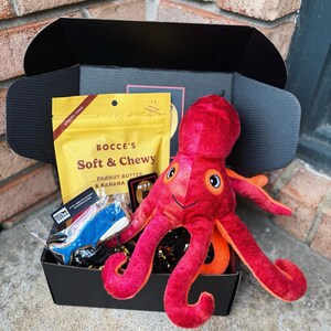 So Fetch Mini Dog Gift Box: Toys, Treats & Cookie image 2