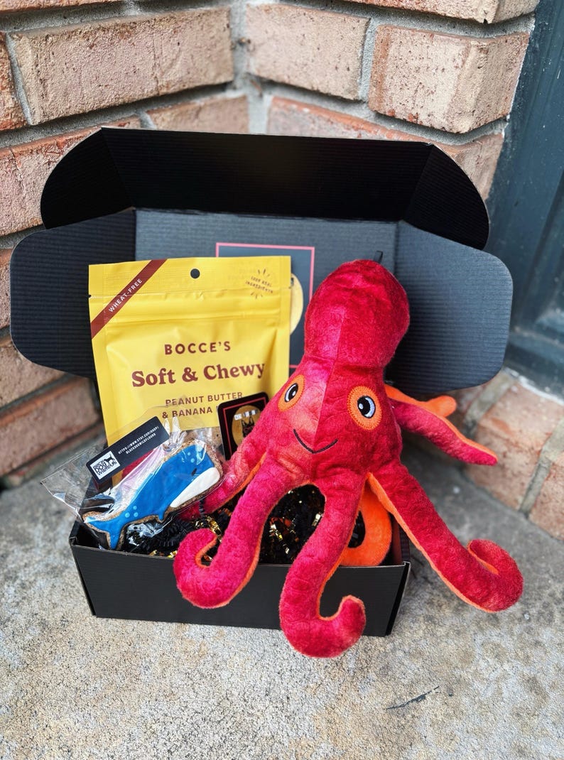 So Fetch Mini Dog Gift Box: Toys, Treats & Cookie image 2