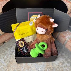 So Fetch Mini Welcome Home Puppy Gift Box - Puppy Gift Basket - Dog Toys and Treats - Gift for Dog