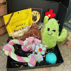 So Fetch Just Because Dog Gift Box - Dog Gift Basket - Gifts for Dog