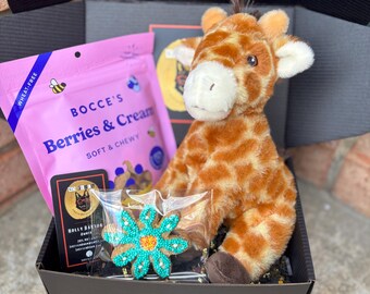 Wild One Dog Mini Gift Box: Toys, Treats  Plush Toy