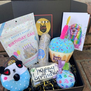 So Fetch Birthday Dog Gift Box - Dog Gift Basket - Gifts for Dog