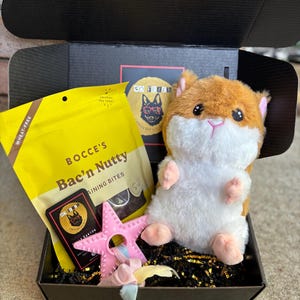 Welcome Home Puppy Mini Gift Box: Toys, Treats and Cuddle Toy
