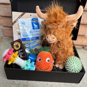 So Fetch Puppy Gift Box: Welcome Home Dog Toys & Treats
