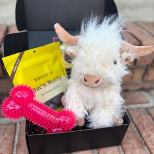 Welcome Home Puppy Mini Gift Box: Toys, Treats and Cuddle Toy