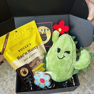 May include: A black gift box filled with dog treats and toys. The box contains a bag of "Bocce's Bac'n Nutty" soft and chewy dog treats, a plush green cactus toy with a red flower, and a blue and white flower-shaped dog treat. The box is lined with black shredded paper.