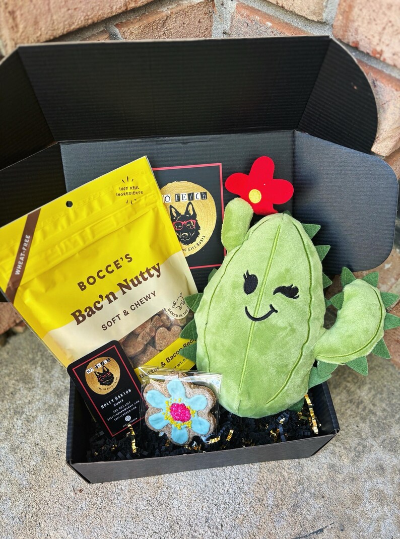 May include: A black gift box filled with dog treats and toys. The box contains a bag of "Bocce's Bac'n Nutty" soft and chewy dog treats, a plush green cactus toy with a red flower, and a blue and white flower-shaped dog treat. The box is lined with black shredded paper.
