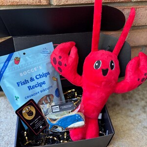 So Fetch Mini Dog Gift Box: Toys, Treats & Cookie image 8