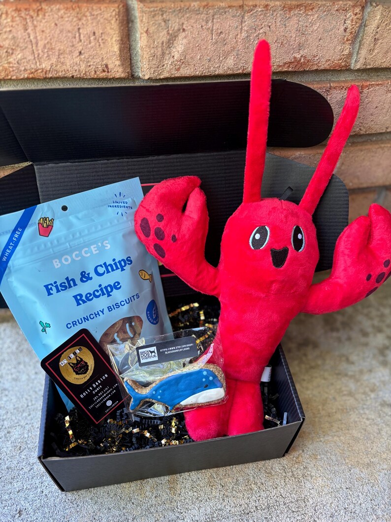 So Fetch Mini Dog Gift Box: Toys, Treats & Cookie image 8