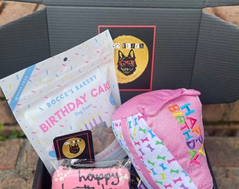 Mini Birthday Dog Gift Box: Toys, Treats & Cookie