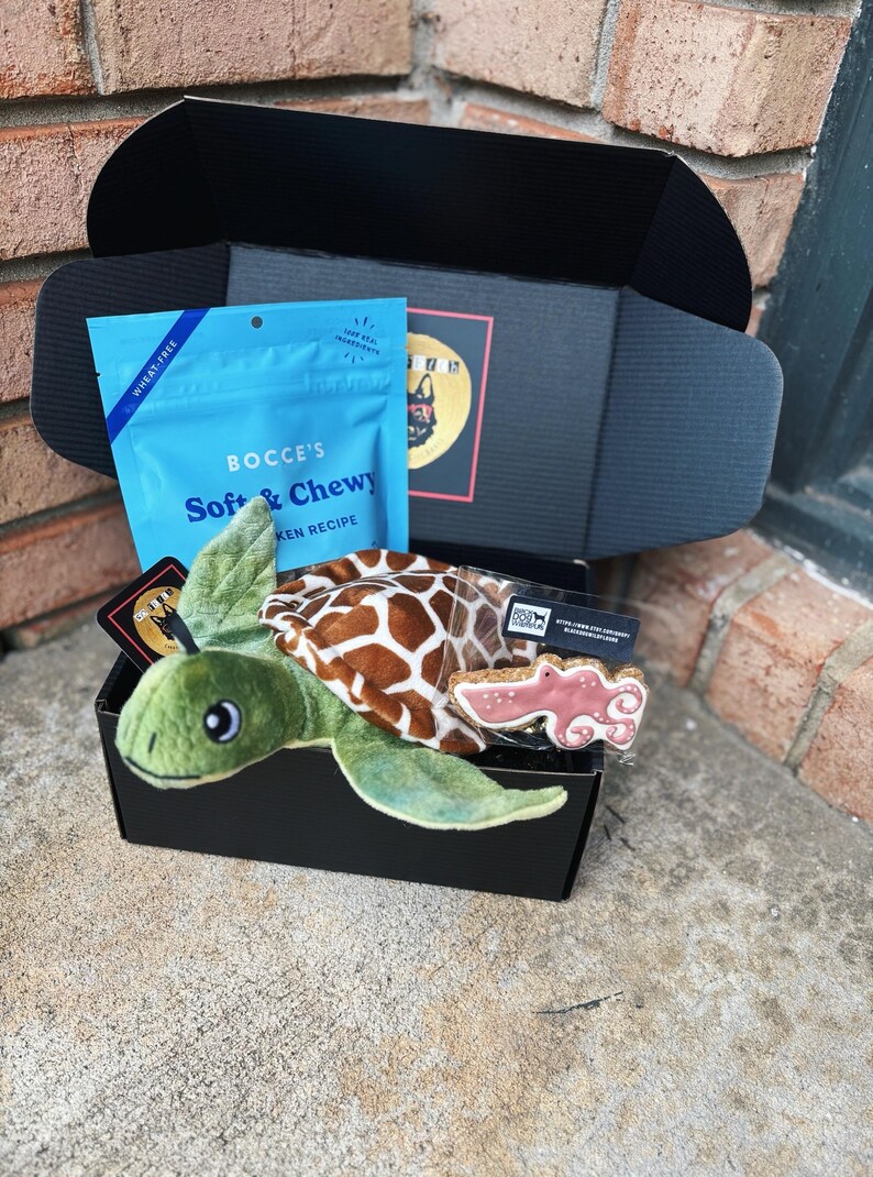 So Fetch Mini Dog Gift Box: Toys, Treats & Cookie image 5