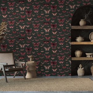 Papel de parede de espécies de borboletas tropicais, decoração de parede com padrão de borboleta colorida, arte de parede com padrão de borboleta, papel de parede botânico