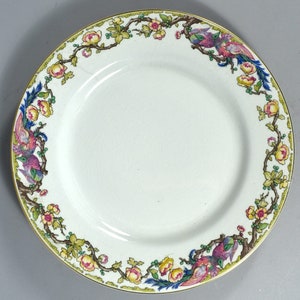 Vintage J & G Meakin England SOL #391413 Dinner Plate