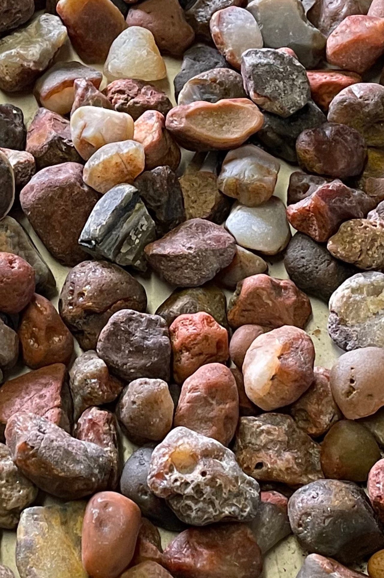 1 pound Lots of Lake Superior Agates tumble lapidary Polish Etsy