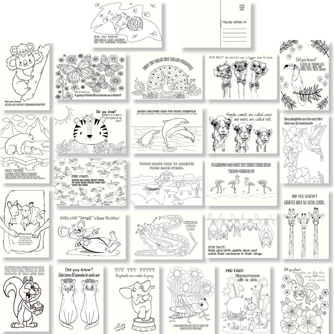 Fun Fact Postcards for Kids to Color - Etsy