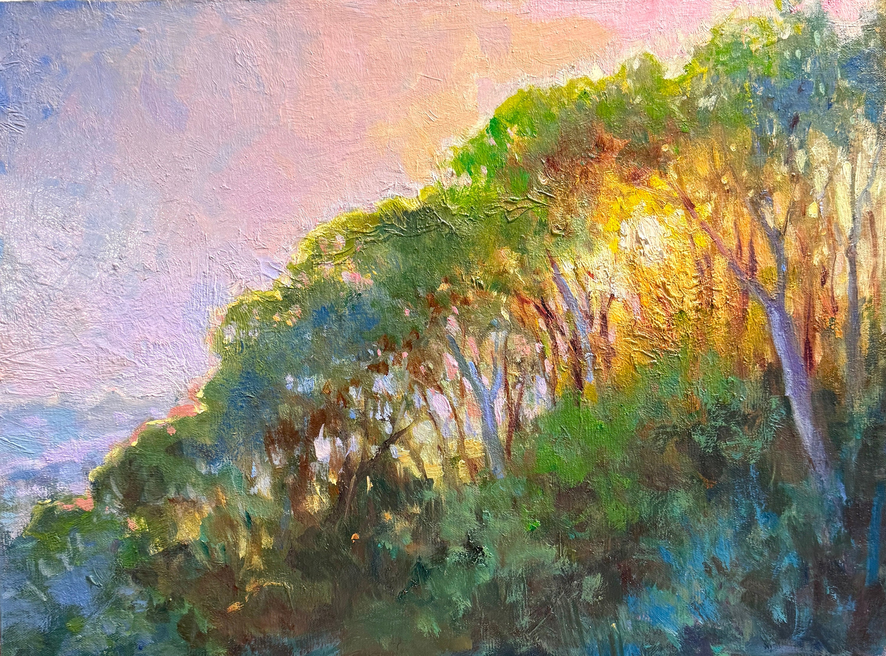 California Sunset Oil Painting: Original Impressionist Landscape Art (16x20)