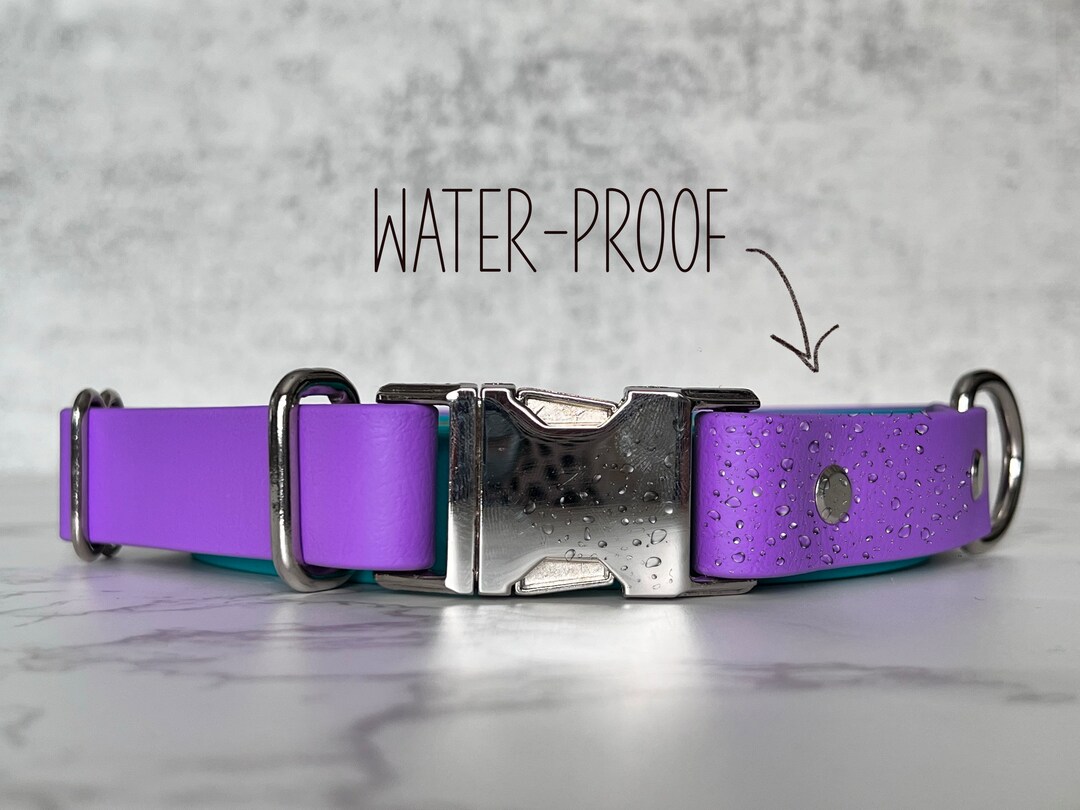 Biothane Dog Collar Waterproof Dog Collar Stain Resistant Dog Collar