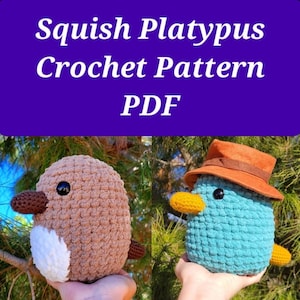 Squishy Platypus Crochet Pattern (Beginner Friendly!)