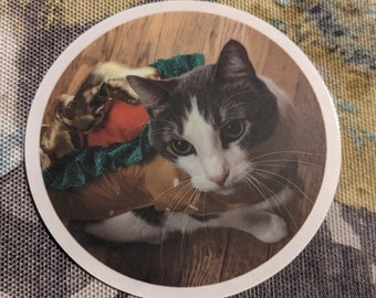 Simón el gato hotdog Pegatina