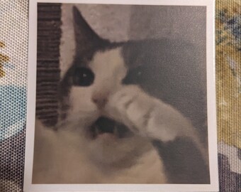Simón Meme Gato Pegatina