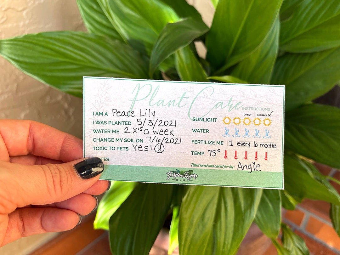 Plant Care Cards Printable Plant Care Instruction Cards Etsy