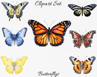 Butterflies, Insects Watercolor Clipart Bundle - Digital Download, Scrapbook PNGs