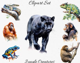 Jungle Creatures , Wildlife, Tropical Animals Watercolor Clipart Bundle - Digital Download, Scrapbook PNGs