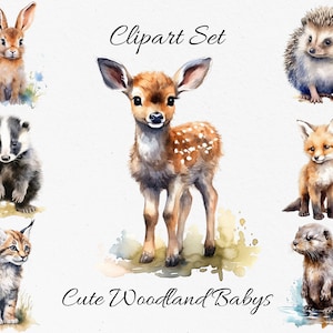 Lindos animales bebés del bosque, paquete de imágenes prediseñadas de acuarela de vida silvestre - Descarga digital, PNGs de álbum de recortes