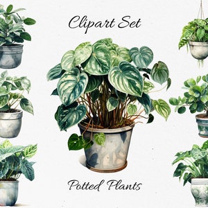 Könnte beinhalten: Aquarell-Illustration eines Clipart-Sets mit Topfpflanzen. Das Bild zeigt verschiedene grüne Pflanzen in dekorativen Töpfen, darunter auch Hängepflanzen. Der Text "Clipart Set" und "Potted Plants" ist ebenfalls sichtbar.