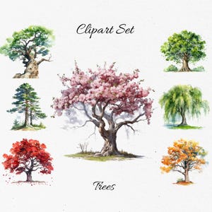 Trees, Forest, Nature Watercolor Clipart Bundle  - Digital Download, Scrapbook PNGs