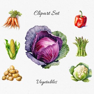 Könnte beinhalten: Aquarell-Illustration eines Clipart-Sets mit verschiedenen Gemüsesorten. Enthält eine rote Paprika, einen Rotkohl, Karotten, Mais, Spargel, Kartoffeln und Blumenkohl. Das Wort "Gemüse" steht darunter.