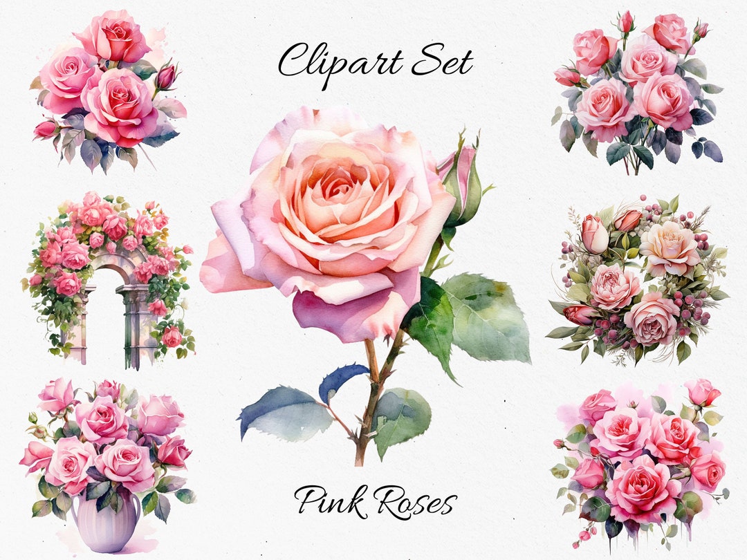 Roses Pink , Flowers , Watercolor Clipart Bundle - Digital Download ...