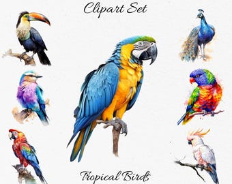 Tropial Birds , Wildlife, Animals Watercolor Clipart Bundle - Digital Download, Scrapbook PNGs