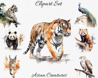 Asian Creatures , Wildlife, Animals Watercolor Clipart Bundle - Digital Download, Scrapbook PNGs