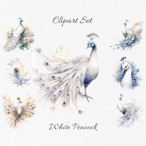 Witte pauw, Wildlife, tropische dieren aquarel clipart bundel - digitale download, scrapbook PNGs