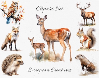 European Creatures, Wildlife, Animals Watercolor Clipart Bundle - Digital Download, Scrapbook PNGs
